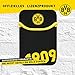 Produktbild iCandy Borussia Dortmund eBook Sleeve 7-8" 1909
