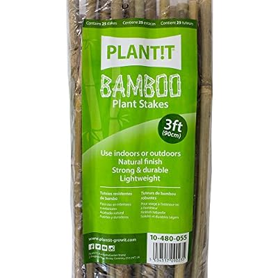 Plant IT 10–480–055 Lot de 25 tuteurs en bambou de 90 cm Beige