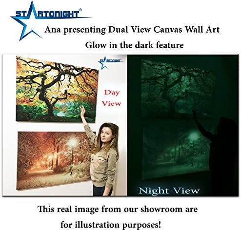 Startonight Artwork Luxury Framed Art Silver Gustav Klimt Beach Grove 1902 Reproduction Dual View Surprise 50 x 70 cm Famous Collection Wall Art
