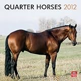 Quarter Horses 2012 by 