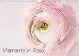 Image de Momente in Rosa (Wandkalender 2017 DIN A4 quer): Alles in Rosa, Florales, Stillleben, Meditation...W