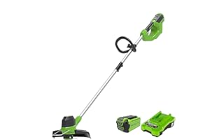 Greenworks G40LTK2 Coupe Bordure sans Fil pour Jardins Moyens, Hauteur Réglable, Largeur de Coupe 30 cm, Fil Nylon 1,65 mm à Alimentation Automatique, 1 Batteries 40 V 2Ah et Chargeur, Garantie 3 Ans