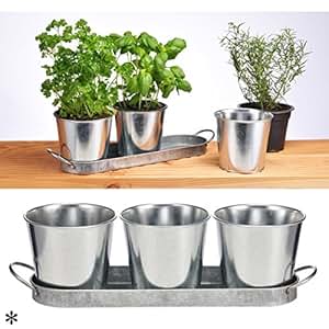 Kräutertopf Set, 4 teilig, 3 Töpfe und 1 Untersetzer, mit