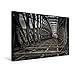 Produktbild Premium Textil-Leinwand 45 cm x 30 cm quer, Verfallene S-Bahn-Brücke - Berlin Steglitz | Wandbild, Bild auf Keilrahmen, Fertigbild auf echter Leinwand, Leinwanddruck (CALVENDO Orte)