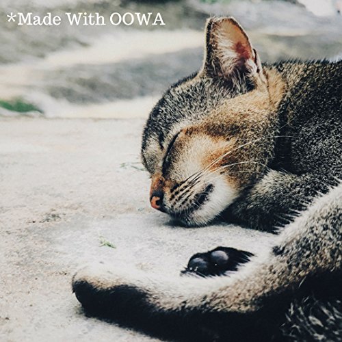 OOWA-OOWA-PRO-IP6P-Wide-Angle-and-Telephoto-Lens-Attachments-for-iPhone-6-and-6S