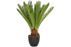 HJH Office Pianta Artificiale Cycas Palm Altezza 70 cm Verde 24 Fronde di Palma Palma Artificiale Piccola Cycas Palm Felce Artificiale, 871004
