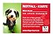 Produktbild Dogs-Heart Notfallkarte Hund allein zu Hause - Bei Unfall oder Notfall Wird Dein Hund versorgt (5er-Set)
