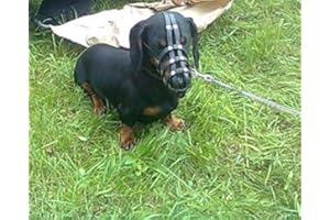 L&J PETS UK Museruola leggera per cani in vera pelle per bassotto e altro