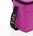 Baby Polar Gear Little Ones Lunch Bag (Pink)