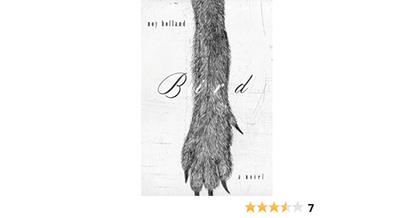 Amazon Fr Bird Holland Noy Livres