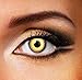 EyeFusion Multi-Purpose Contact Lens Solution Ideal For Hazel 3 Tone Eye Accessories 84254 (Includes Eye Accessories)