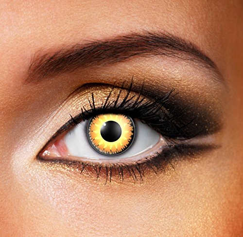 EyeFusion Multi-Purpose Contact Lens Solution Ideal For Hazel 3 Tone Eye Accessories 84254 (Includes Eye Accessories)