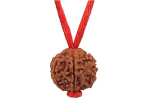 55Carat Elija su Nepali Nepali Nepali RUDRAKSHA 1 A 13 MUKHI Gaesh Gauri Shankar Simple Colgante con Hilo Rojo Shiva Astrología Joyería para Hombres Mujeres
