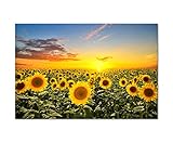 bild sonnenblumen in vase Lieferverpackung: Folie, stabiler Karton !