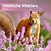 Heimische Wildtiere 30x30cm 2015 by 