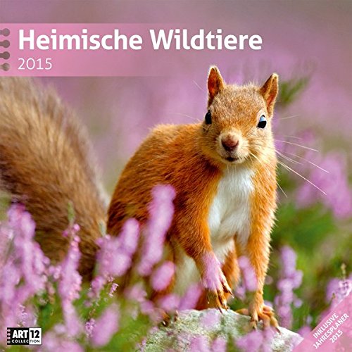 Heimische Wildtiere 30x30cm 2015