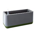 AIRY Box - Natürlicher Luftreiniger für Allergiker - Patentierter Pflanztopf als Filter gegen Schadstoffe, Haus-Staub...