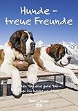 Hunde - T & C-Kalender 2011: Treue Freunde by