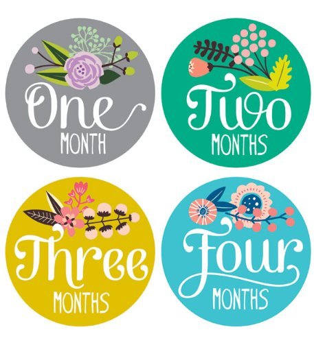 Lucy Darling Shop Baby Month Bodysuit Sticker - Baby Girl - Floral Hand Lettering - Months 1-12