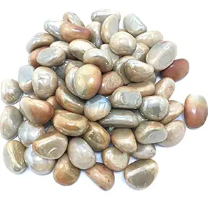 DR Pebbles Decorative Stones for Home Decor (Milky Gold Kaju Type, 950g)