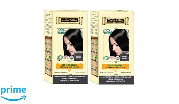 Buy Certified Organic Indus Black Hair Colour Dermatologist