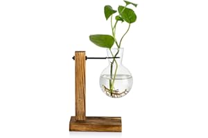 GLASSEAM Station De Propagation avec Support en Bois 1 Ampoule Vintage Avocat Vase Tube à Essai en Verre Vases pour Fleurs Plante De Gland pour La Maison Table Bureau Décor Intérieur