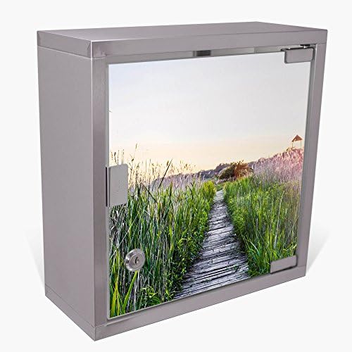 Medicine cabinet big stainless-steel lockable 30x30x15cm drug home remedy kit first aid locker motive Plank Through The Reed