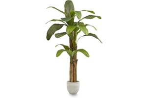 Maia Shop | Bananier Artificiel | Plante Artificielle interiur | Plante Artificielle | Mesures: 180 x 90 cm | Plante Artificielle Grande | Fausse Plante | Décoration