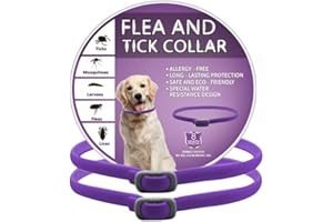 HDAKDDHG 2 piece Collar Dog, Collars for Dogs, Soft & Lightweight Dog Collar for Everyday Wear, Safe Waterproof Adjustable, One Size Fits All, purple