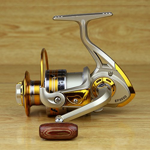 best fishing rod and reel for 7 year old Best Kids Fishing Poles