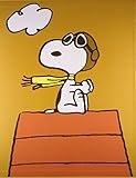 Image de The Peanuts 60th Anniversary Book: 60 Years