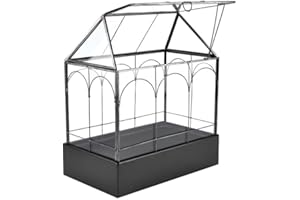 HighFree 11.8" Large Glass Terrarium Planter w/Water Proof Tray, House Succulent Terrarium Kit for Succulents, Cacti, Snails, Spiders, and Miniature Reptiles, Black (Velvet Bottom)