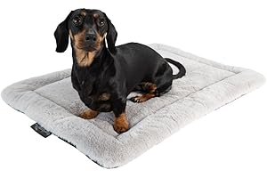 MyBestBuddy Hundekissen Komfort grau 60x40 cm S, allergikerfreundlich (100% Polyester), rutschfest - 40°C waschbar mit flauschigem Stoffbezug - Hundematte BZW. Hundebett für kleine Hunde