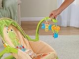 Fisher-Price Newborn-To-Toddler Portable Rocker, Lizards – Babywippe/Schaukelstuhl – aus USA - 27