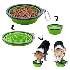 Expandable Cup and Saucer Tenmon,Collapsible Dog Bowl?Portable Silicone Travel Bowl, Anti-Swallowing Pet Slow Food Feeder (Green)