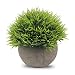 Produktbild Binen Künstliche Faux Töpfe Pflanzen Mini Kunststoff Fälschung Grünes Gras für Home Decor Office