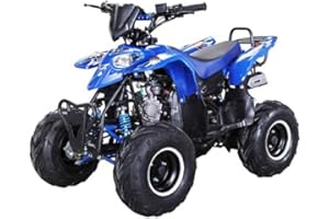 ‎ACTIONBIKES MOTORS Original Actionbikes Motors Kinder Quad S-5 Polaris Style I 4-Takt 125 cc 7 kW Benzinmotor - Daumengas drosselbar - Midiquad - Bis zu 50 km/h - Heelguards - Not-Aus-Leine (Blau)