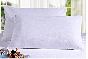 Ivaan 17x27-inch Pillow with Pillow Covers-King Size, Solid White (Set of 2)