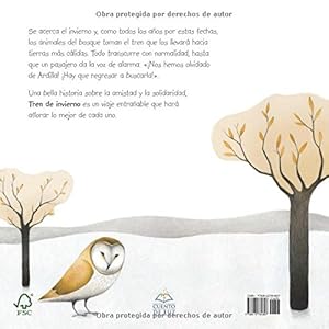 Tren De Invierno