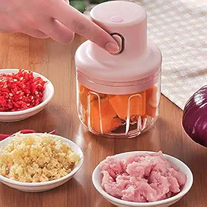 Sakshat Electric Mini Garlic Chopper Mincer Vegetable and Fruits Chopper Cordless Grinder Mincer Small Food Processor for Onion Ginger Pepper Nuts Meat Food Chopper (250ml, Multicolor) (3454)