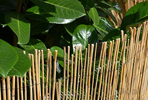 Schilfrohrmatte Sichtschutz Gobi 300×90 cm - 4