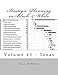 Produktbild STP Vol43 Texas Strategic Planning in Black & White: Volume 43 - Texas (STP in B&W)