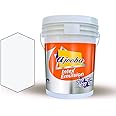 MAGIC PAINTS Ajooba High Gloss Emulsion Paint for Interior & Exterior| High Sheen | Good Coverage| Anti Fading & Anti Algal| Low Dirt Pickup |UV Resistant & Weather Proof WHITE 1KG