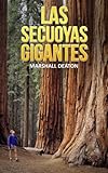 Image de Las Secuoyas Gigantes: Los Majestuosos árboles de California