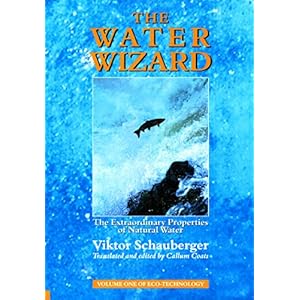 The Water Wizard - The Extraordinary Properties of Natural Water: Volume 1 of Renowne