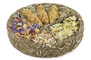 ROSEWOOD Cupid & Comet Christmas Treats for Hamsters, Rabbits, Degus, Chinchillas, Mice & Gerbils (Christmas Eve Tray)