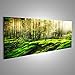 Produktbild Bild Bilder auf Leinwand XXL Panoramabild Leinwandbild Wandbild Kunstdruck Poster Topseller AQS Moos im Wald Sonnenstrahlen