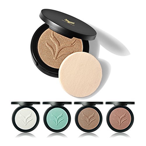 Segolike Beauty 4pcs Bronzing Powder Palette Kit Shimmer Glitter Highlighting Contouring Eye Shadow Face Correcting Powder RS.590 (69.00% Off) - Amazon