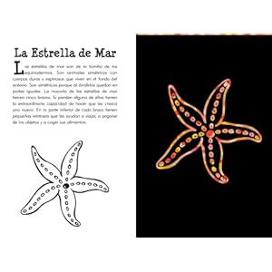 Bajo el Mar Raspa y Dibuja: Un Libro de Actividades Artisticas [With Wooden Stylus] (Scratch & Sketch)