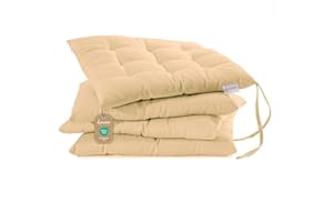Lavea® Coussins de Chaise 40x40 cm – Lot de 4 avec Attaches – Confortables et lavables pour intérieur, extérieur - pour Jardin, Balcon, terrasse et Cuisine - Sable